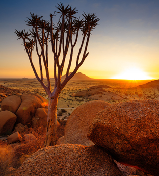 Central Namibia desert landscape