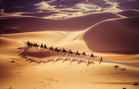 Errachidia Morocco Camel ride