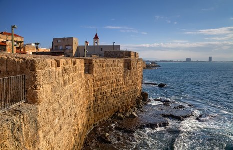 Acre fort