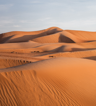 Central Coast and Dhofar desert