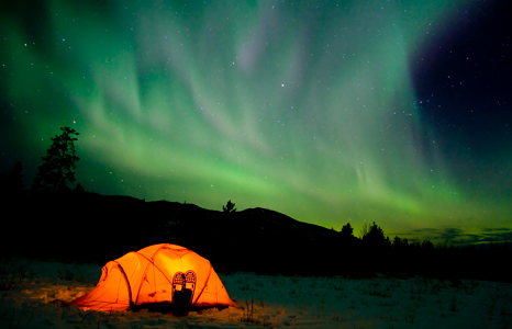 Northern & Arctic Yukon nothern lights
