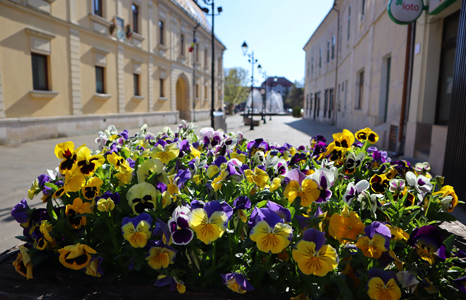 Baia Mare Romania