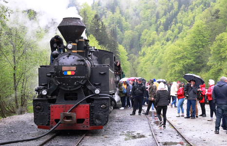 Mocănița in Vaserului Valley