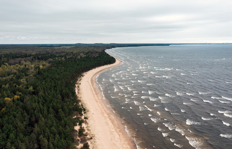 Narva & Narva-Jõesuu