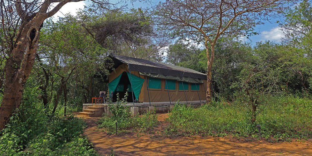 Wilpattu Safari Camp
