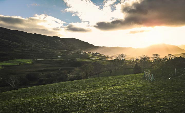 A Taste of Ireland