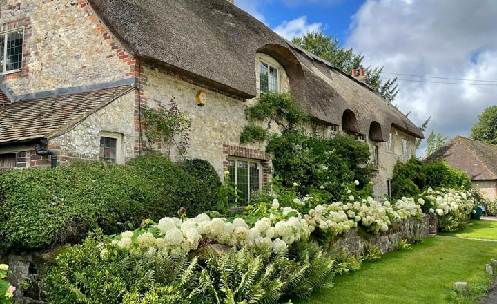 English Gardens and the Chelsea Flower Show