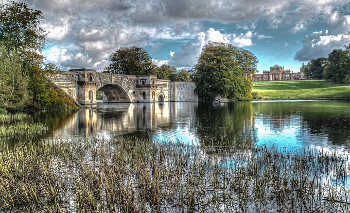 English Gardens and the Chelsea Flower Show