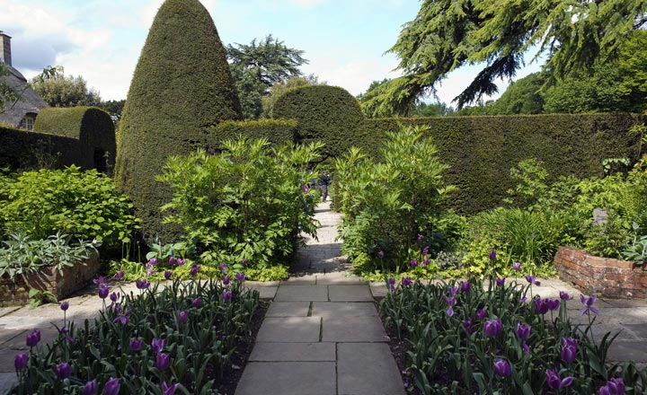 English Gardens and the Chelsea Flower Show